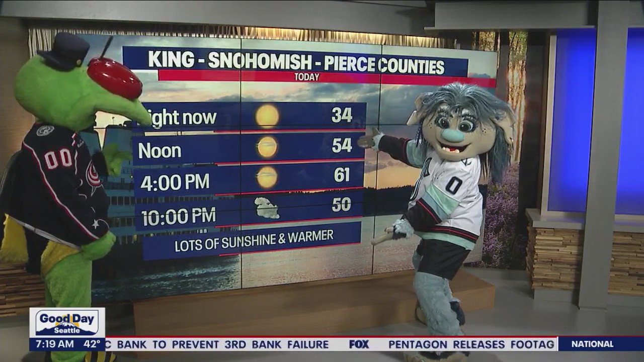 NHL Mascots take over weather, traffic on Good Day Seattle