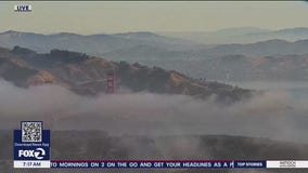 Pleasant weather taking center stage for Independence Day