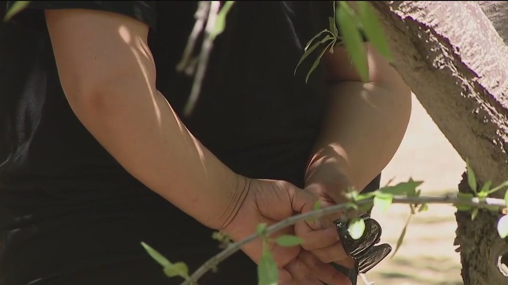 Race to locate those missing in fireworks warehouse explosion