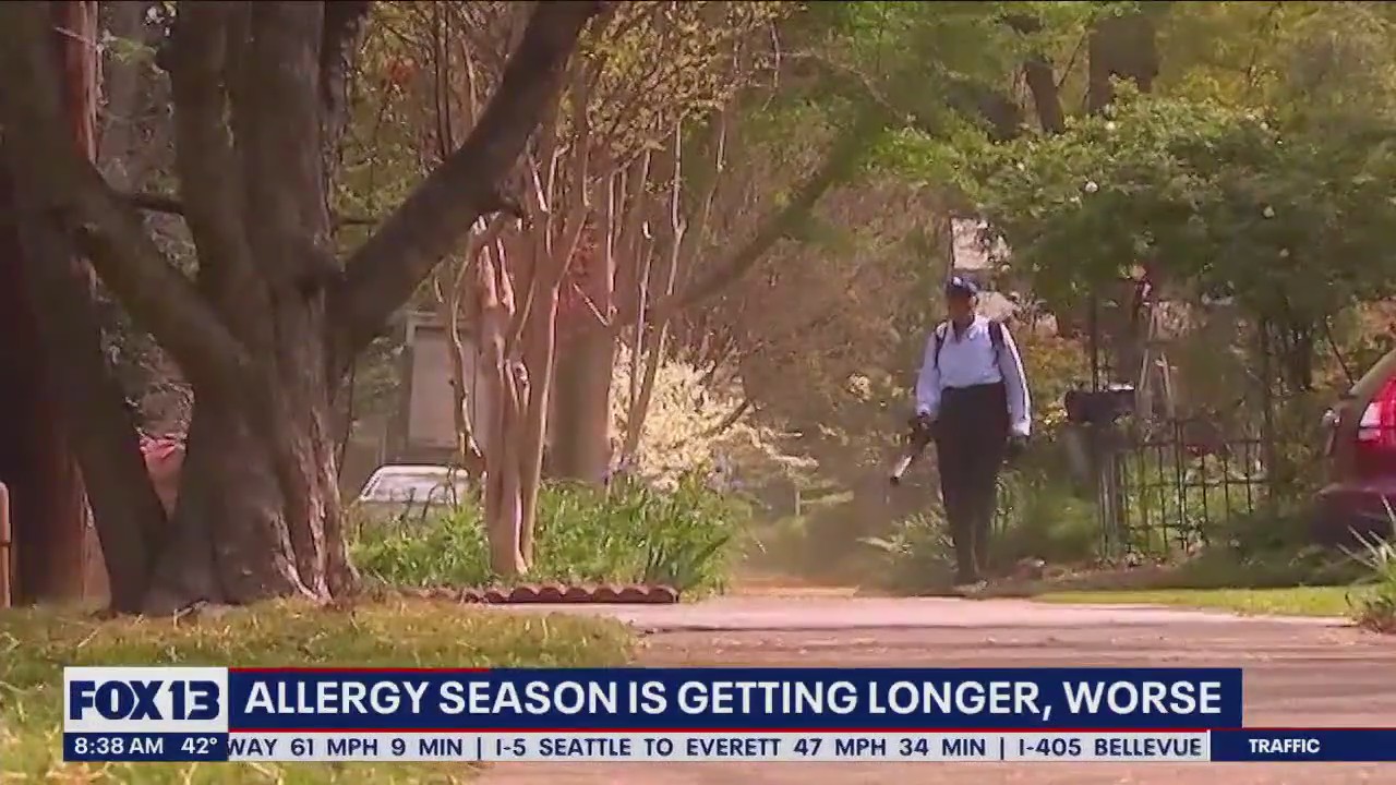 Climate change: Allergy season is getting longer, worse