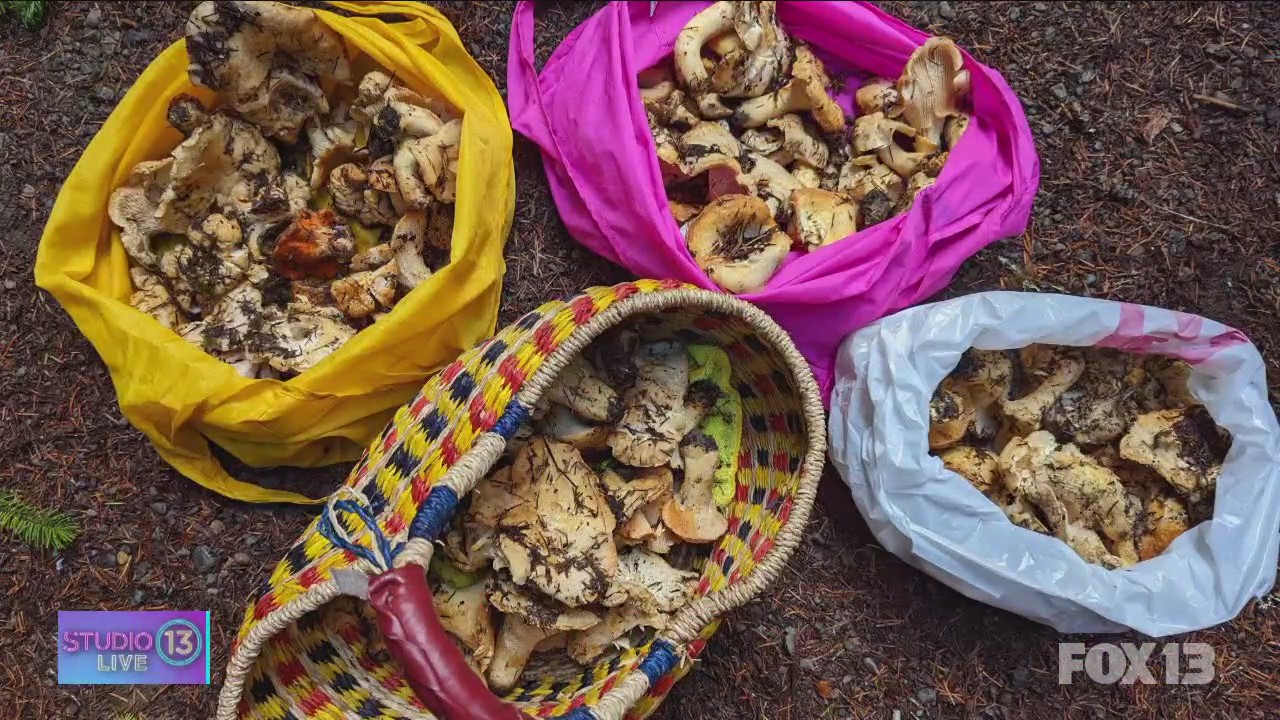 Women in Business: 'Savor the Wild' and 'Savor Seattle' food tours