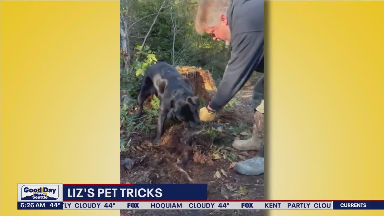 Liz's Pet Tricks for Thursday, March 23