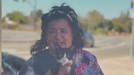 San Jose unhoused woman hit by car in crosswalk after recent encampment sweep