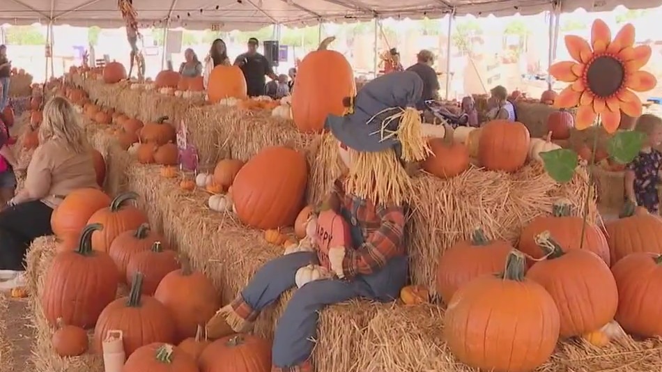 Halloween Town opens two locations in the Valley