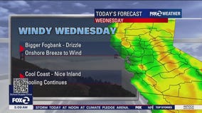 Fog, drizzle, cool coast