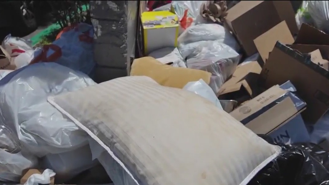 Residents concerned about pests as garbage strike looms on