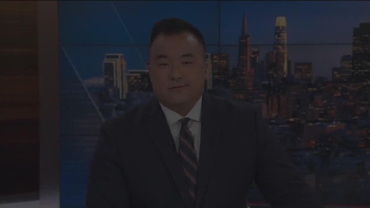 Living Seawall in San Francisco yields promising results