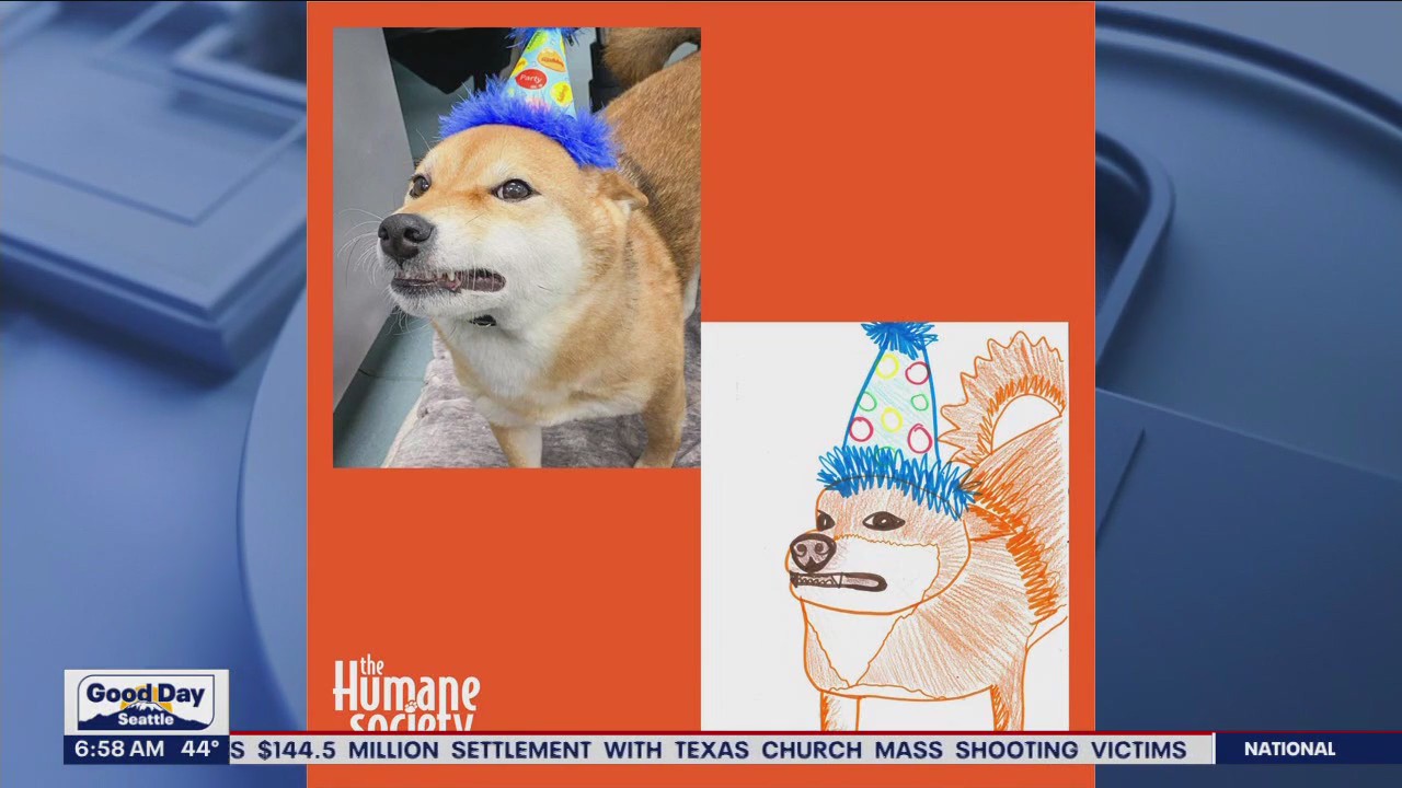 Humane society offers poorly drawn pet portrait for $20 donation
