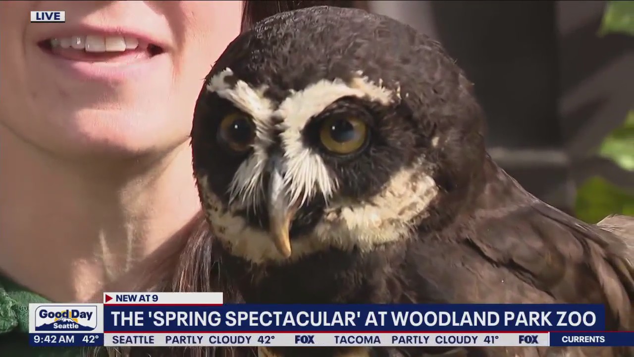 The 'Spring Spectacular' at Woodland Park Zoo