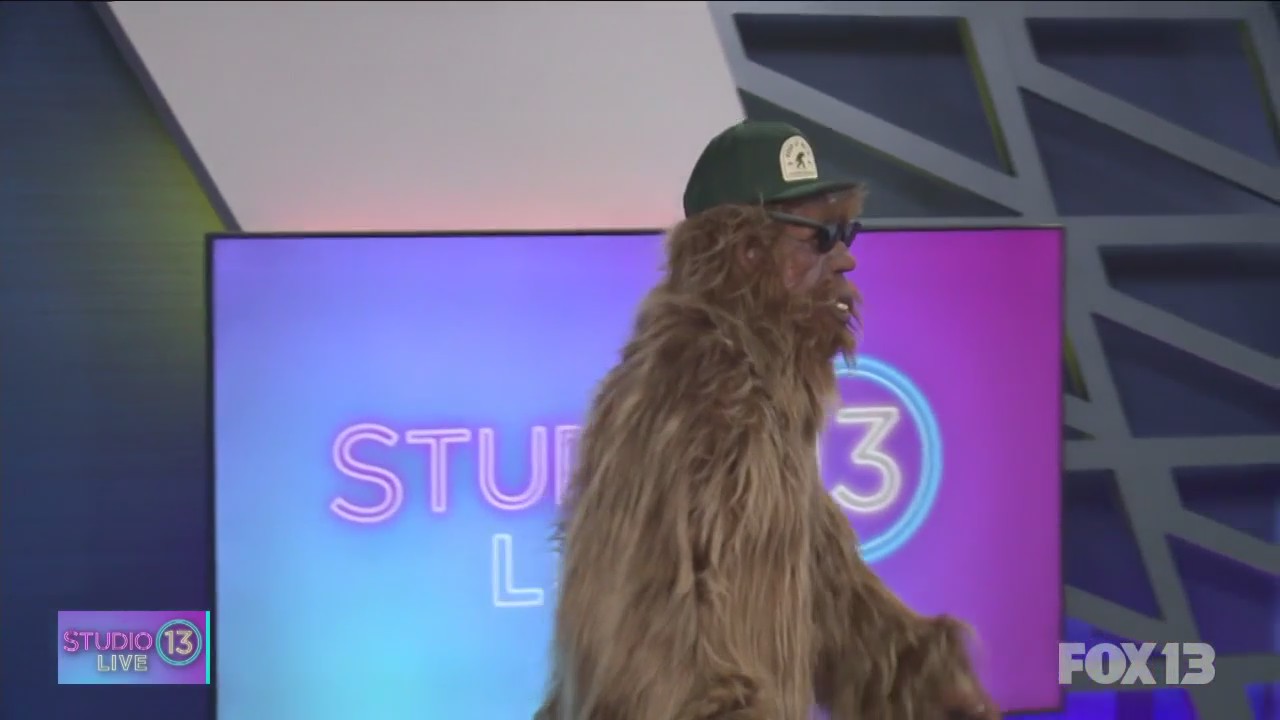 Seattle Sips: Sasquatch stops by Studio 13 Live with Schilling Cider Co.