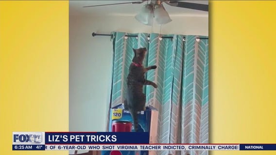 Liz's Pet Tricks for Tuesday, April 11