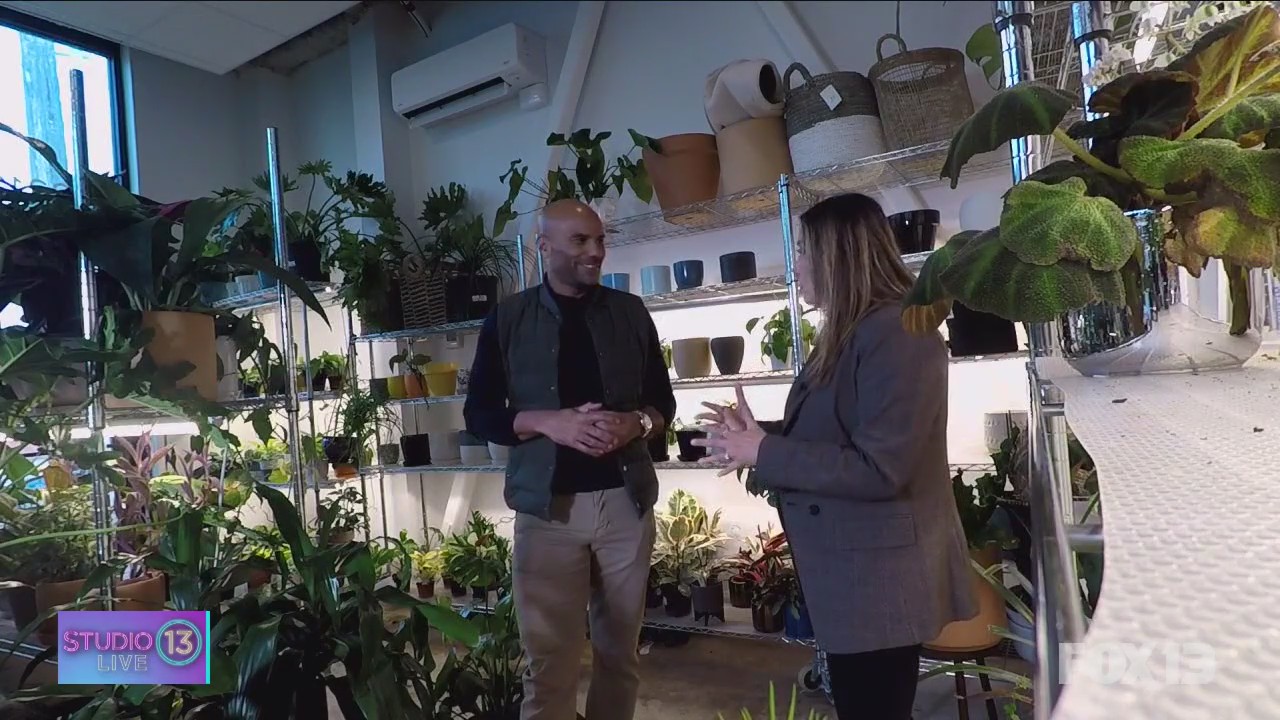 Boosh Nursery in Seattle's Central District teaches ways to keep houseplants alive