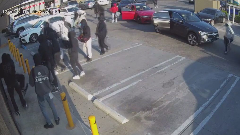 Jewelry store owner fires shot at a 20 person attempted burglary