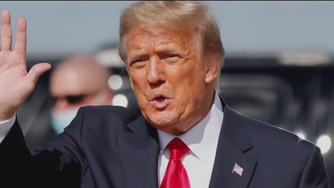 President Trump's first six months in office