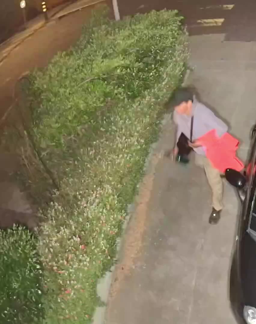 Raccoon Blowtorch Video