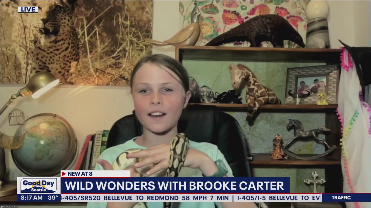 Wild Wonders with Brooke Carter