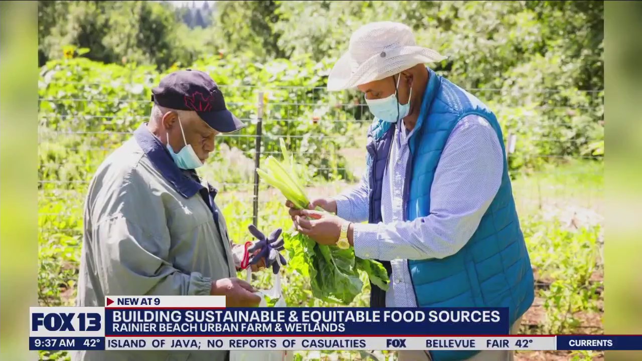 Building sustainable and equitable food sources