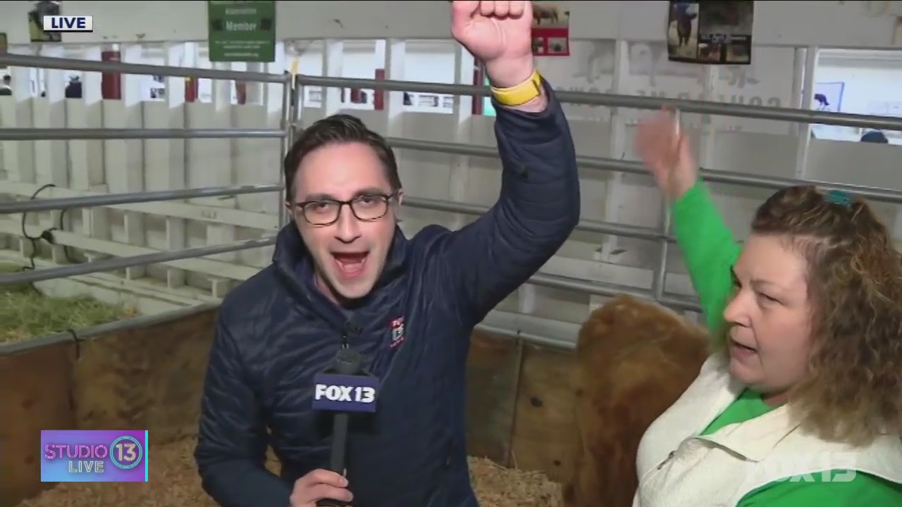 Hanging out with the animals at the Washington State Spring Fair