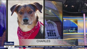 FurEver Home: Feb. 27, 2022