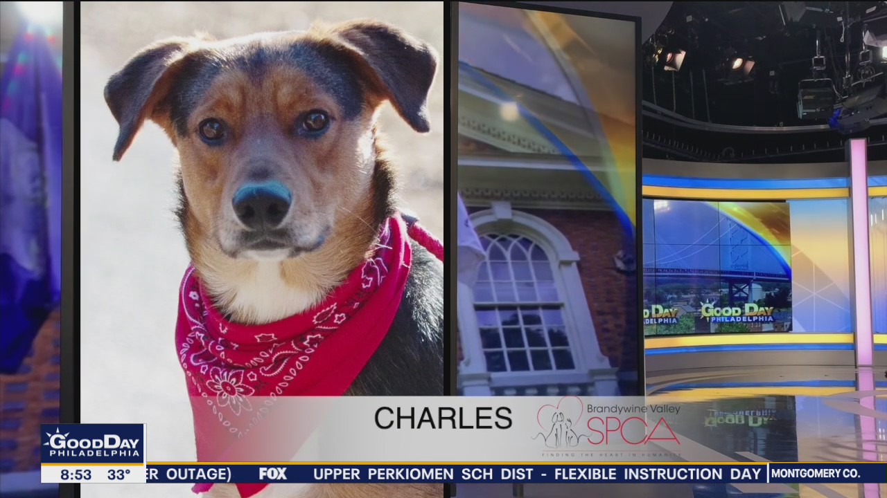 FurEver Home: Feb. 27, 2022