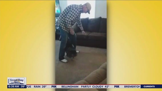 Liz's Pet Tricks for Wednesday, April 19