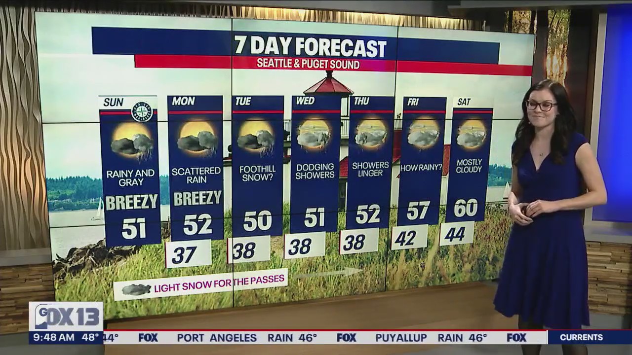 Rainy and windy all week long