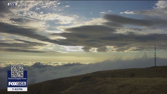 Summer still on hold