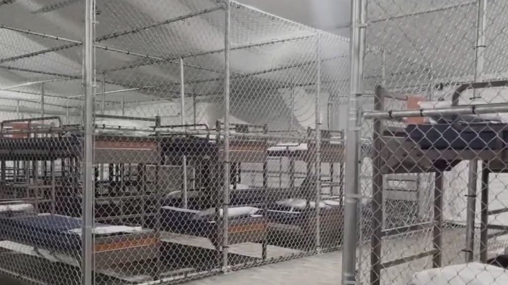 'Alligator Alcatraz' deportation flights underway