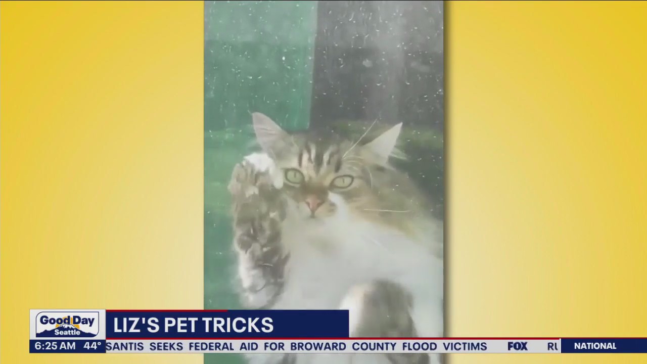 Liz's Pet Tricks for Monday, April 24