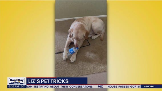 Liz's Pet Tricks for Thursday, April 27