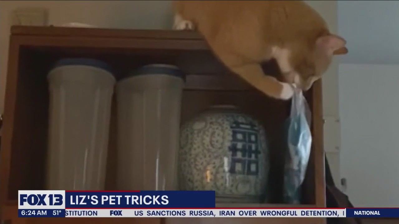 Liz's Pet Tricks for Friday, April 28