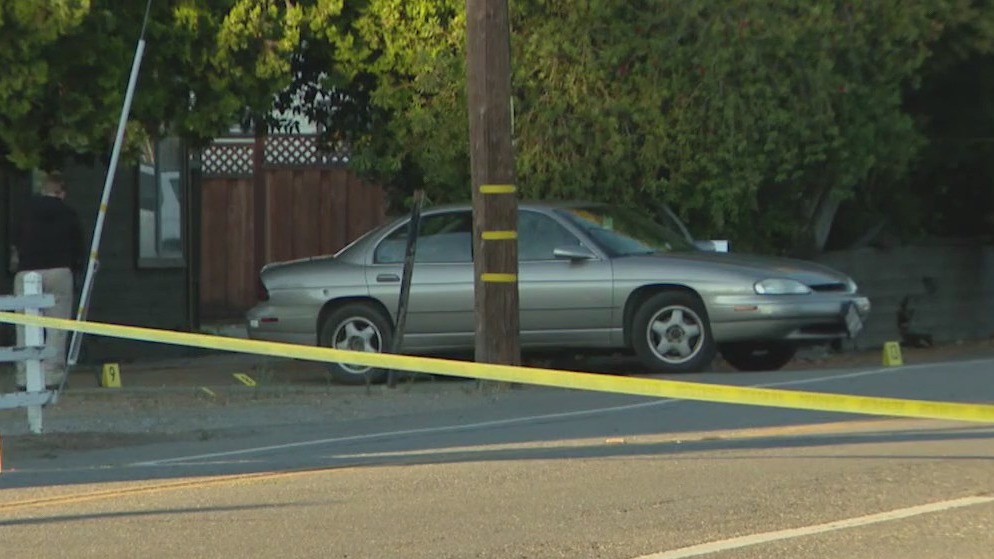 Pleasanton shooting tied to alleged dog abuse