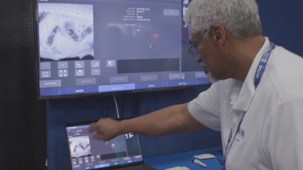 How veterinarians are using AI to provide better care to pets