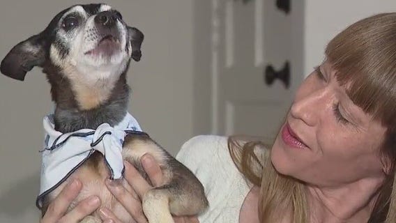 Family stunned to learn their dog is father of late pet