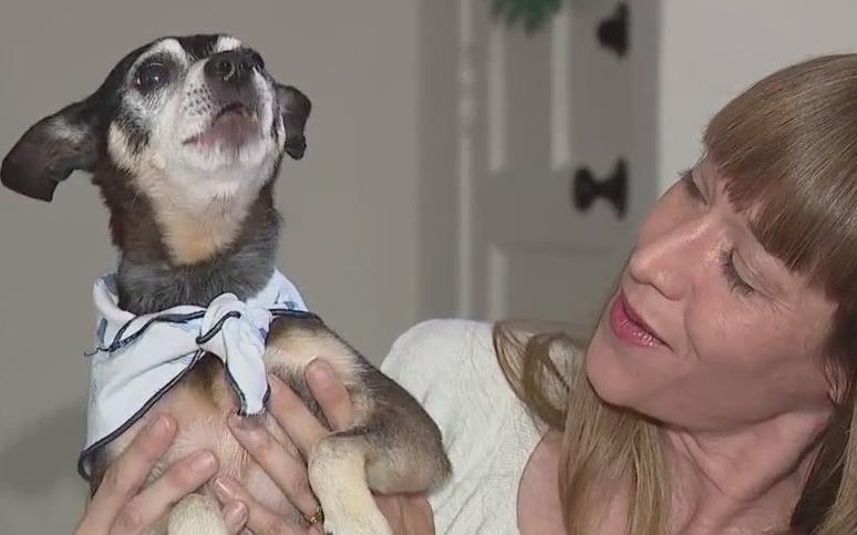 Family stunned to learn their dog is father of late pet