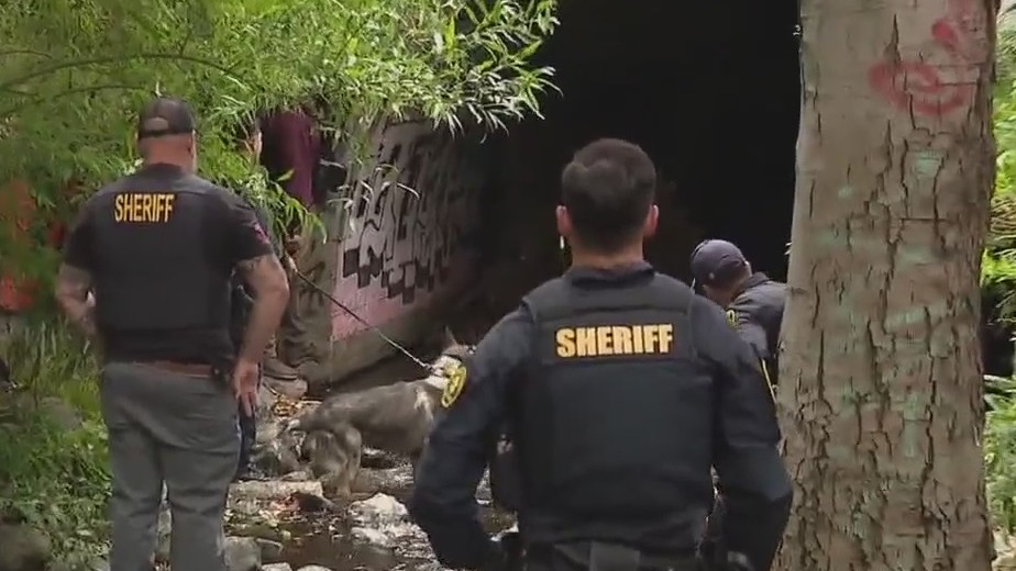 Rare glimpse at East Bay stolen car task force; nearly $30M recovered since last year