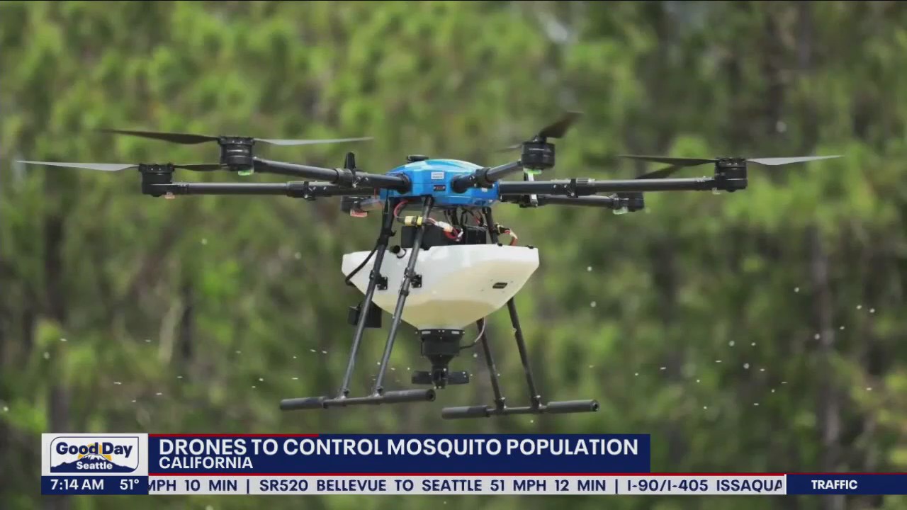 Drones to control mosquito population