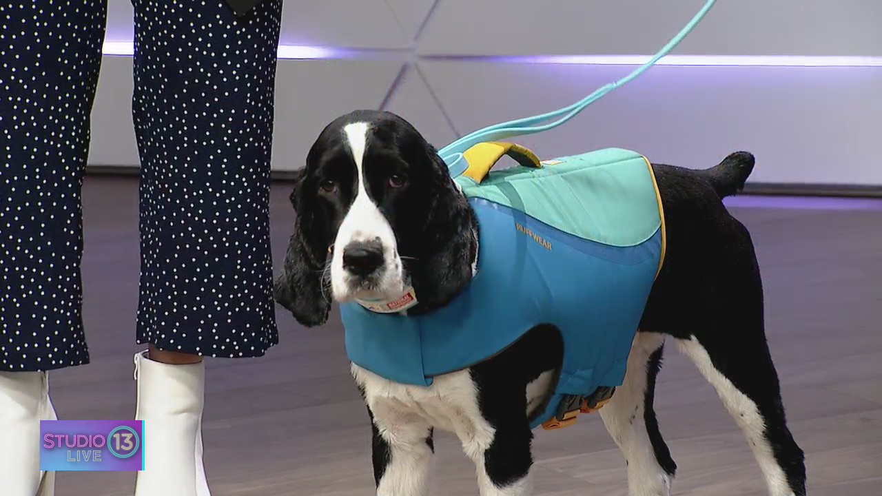 'Nacho' the local dog to compete in Westminster Kennel Club Dog Show this weekend