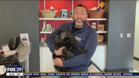 FurEver Home: March 13, 2022