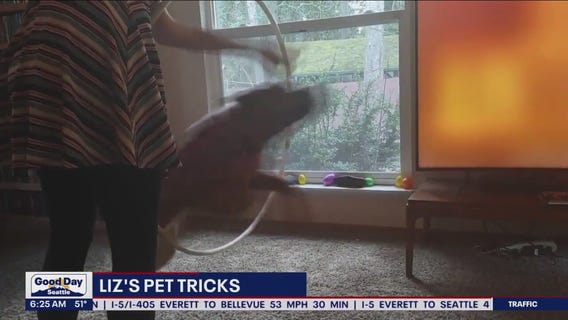 Liz's Pet Tricks for Monday, May 8