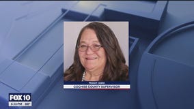 AZ supervisor makes plea deal in election case