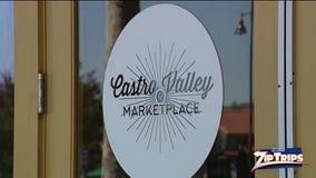 Zip Trips: Castro Valley Trivia