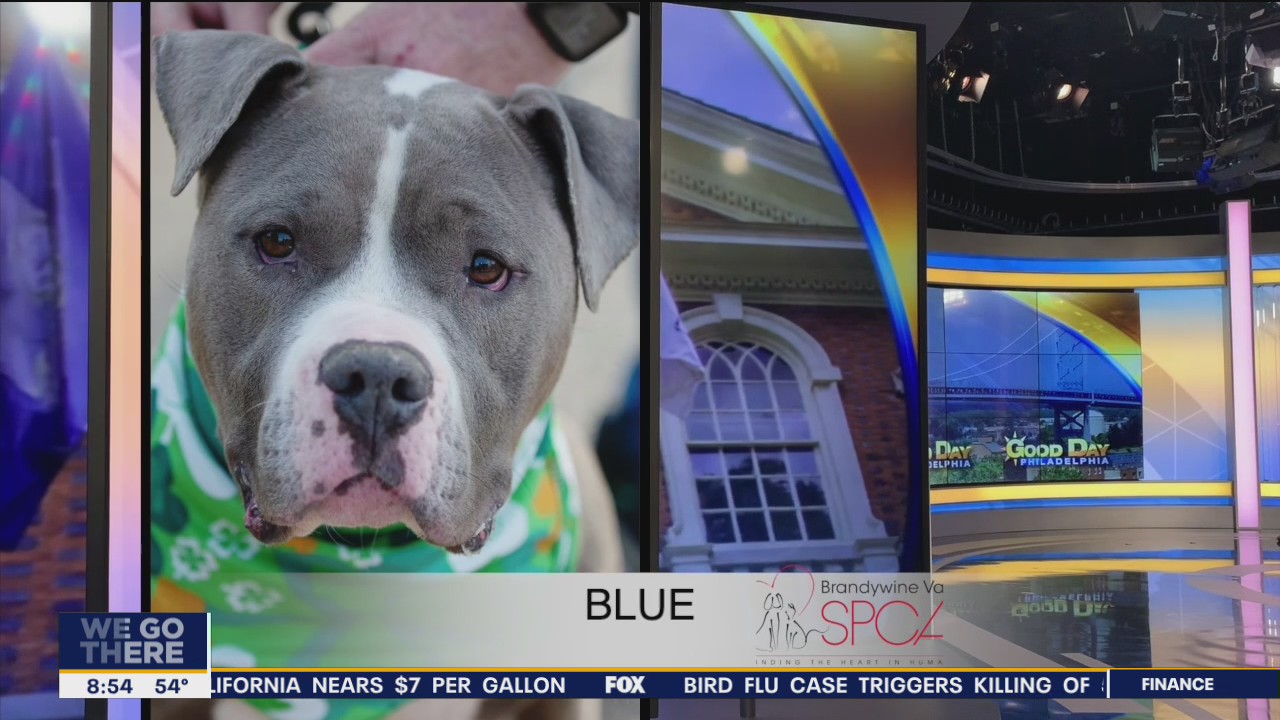 FurEver Home: March 20, 2022