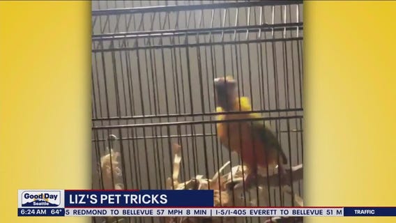 Liz's Pet Tricks for Monday, May 15