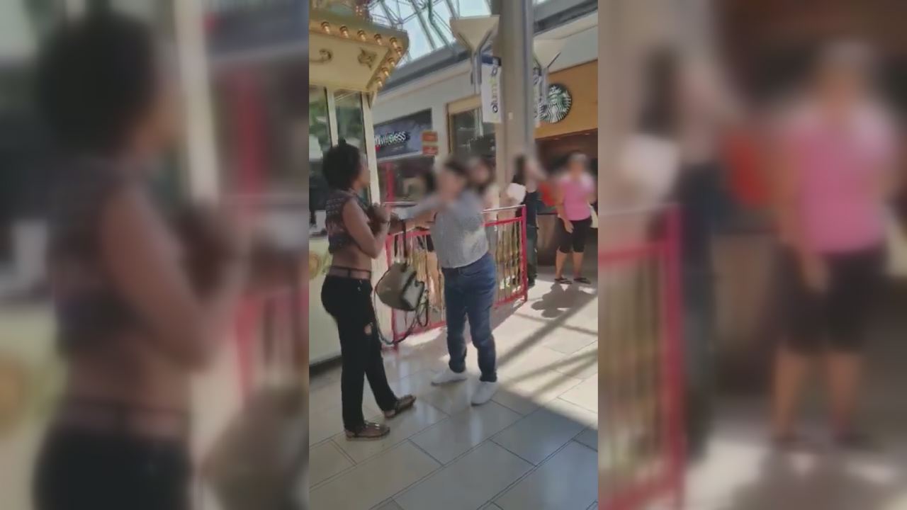 Howard County robbery suspect throws mall worker to ground, police say