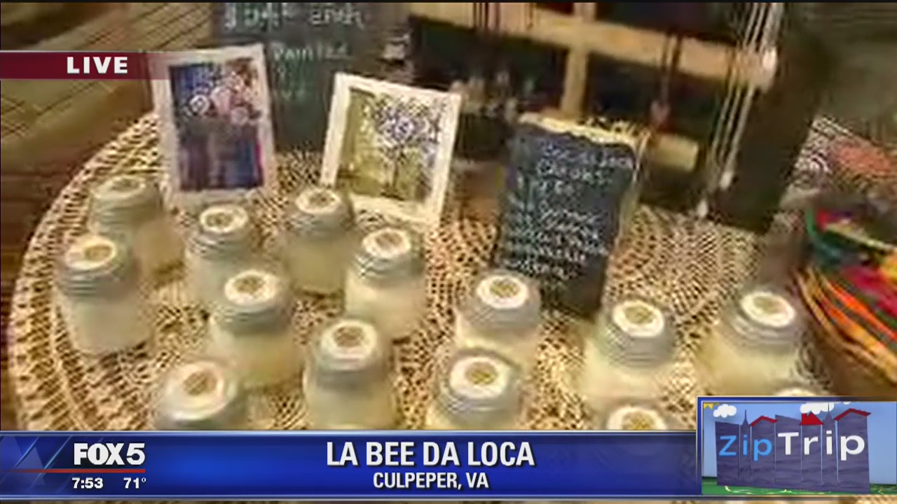 Culpeper | Zip Trip: La Bee Da Loca