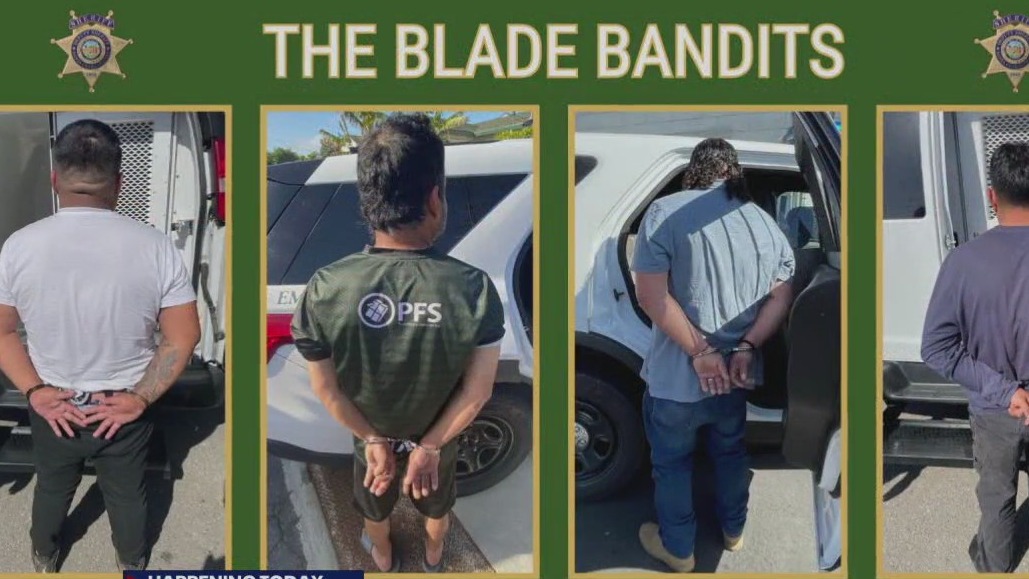 Santa Clara Co. DA to make personal plea in Home Depot sentencing case