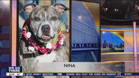 FurEver Home: March 27, 2022