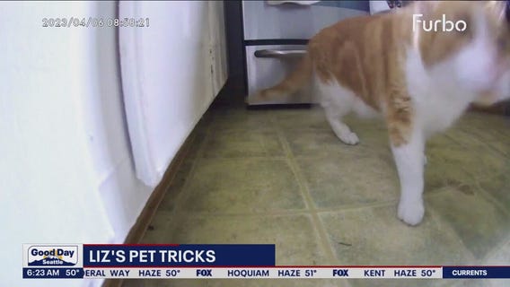Liz's Pet Tricks for Monday, May 29