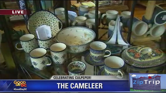 Culpeper | Zip Trip: The Cameleer